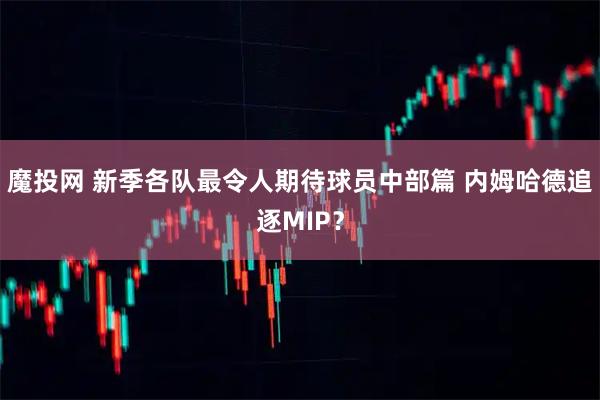 魔投网 新季各队最令人期待球员中部篇 内姆哈德追逐MIP？