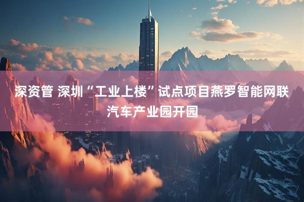 深资管 深圳“工业上楼”试点项目燕罗智能网联汽车产业园开园