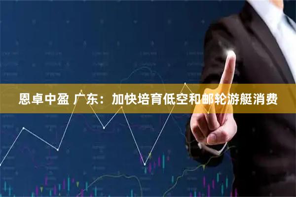 恩卓中盈 广东：加快培育低空和邮轮游艇消费